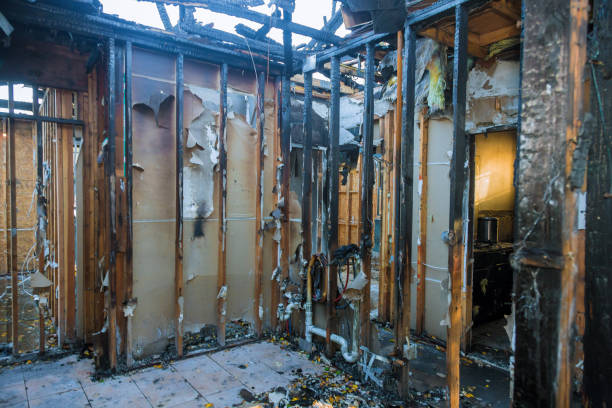 Professional Fire Damage Removal technician working in Springfield, FL