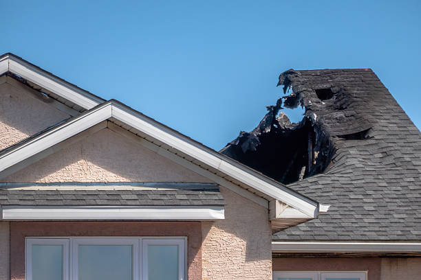Top rated local Fire Damage Removal specialists in Springfield, FL